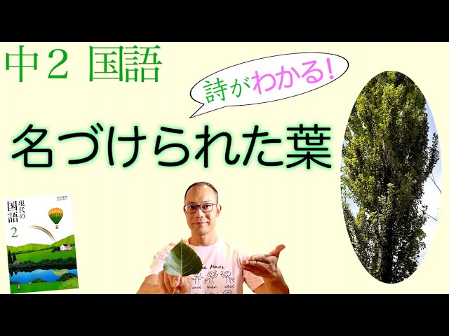 Named Leaf [Junior High School 2nd Year Japanese Language/Poetry