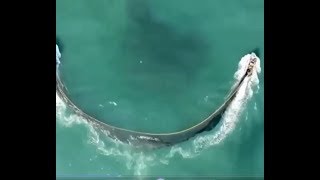 عجيب و مذهل - آخر تقنيات الصيد بالشباك Awesome and amazing - the latest techniques of fishing nets