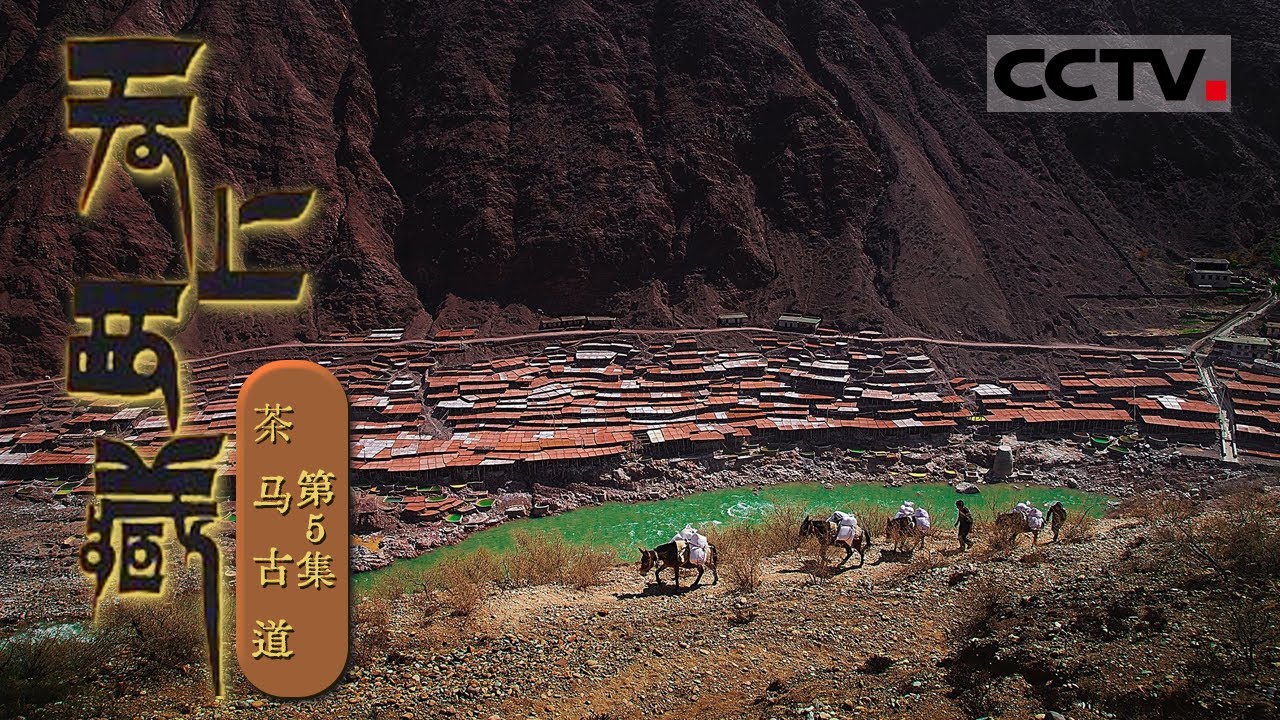《天上西藏》第5集 茶马古道——横穿滇川藏的神秘商途 通往西藏、尼泊尔、印度【CCTV纪录】