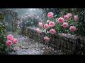 🌧️ Soft Spring Rain in a Peaceful Garden [4K] Peaceful Rain Sounds for Deep Sleep &amp; Study 