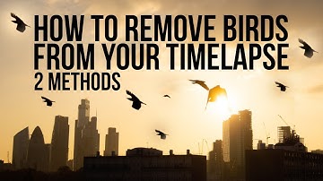 How to remove BIRDS in a timelapse