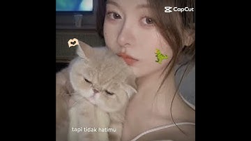 Thumbnail of My fav song🎤✨ || IB : capcut || #song #favsong #lirik #girlkorean #masukberanda #masukberandayoutube