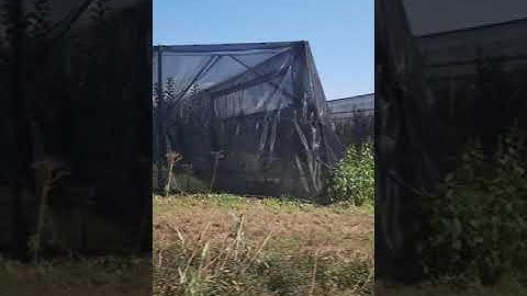 Anti hail nets anti hail instaler for orchard, plasa antigrindina pentru livada сетка против града