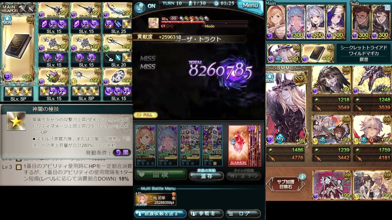 【グラブル】闇古戦場 250HELL フルオート 8:17