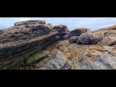 "Neptune" Ramón Barquín, music by Pablo Bolívar & Sensual Physics.