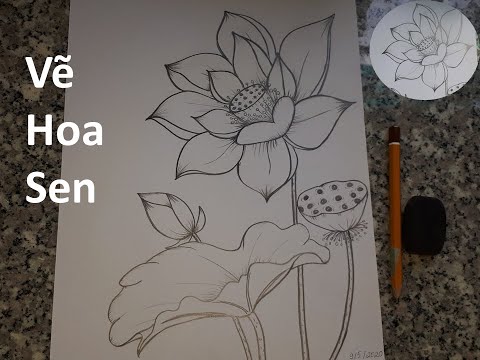 Vẽ Hoa Sen | Vẽ Hoa Sen Mừng Sinh Nhật Bác Hồ 2020 | How To Draw Lotus | Thu Van ART | Foci