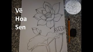 Vẽ Hoa Sen | Vẽ Hoa Sen Mừng Sinh Nhật Bác Hồ 2020 | How To Draw Lotus