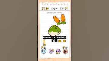 How to solve level 41 Where is my Rabbit #braintest #level41