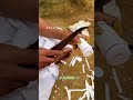 porque las bobinas de acero son tan calientes #videoviral #fyp