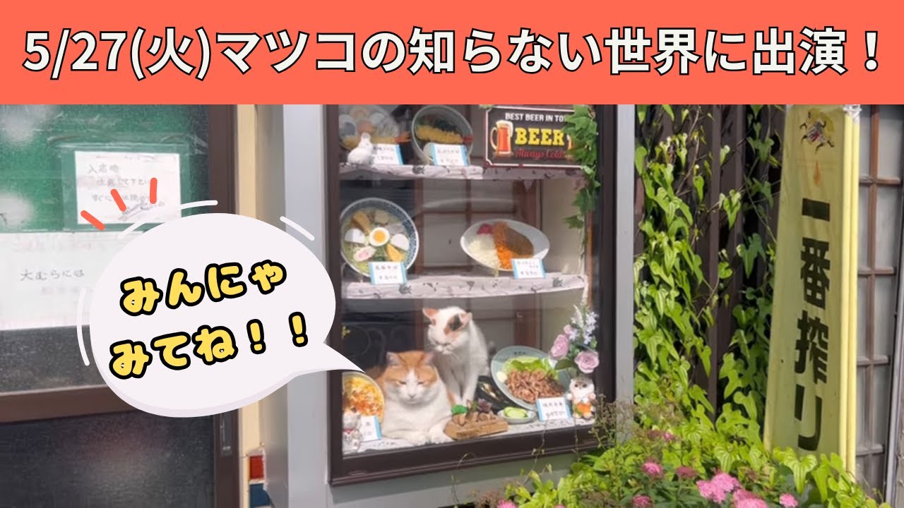 竹穂先　ままにゃんさん専用 竹穂先 ままにゃんさん専用 竹穂先 ままにゃんさん専用 【公式通販】