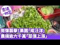 《生活一把罩》雨彈襲擊！果園「成汪洋」 農損逾六千萬「菜價上漲」