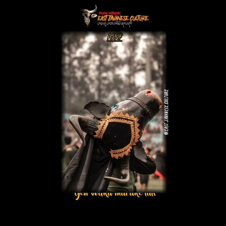 snap bantengan nuswantara