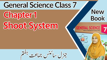 Class 7 Science Chapter 1 - Shoot System - 7th Class General Science Chapter 1 Exercise