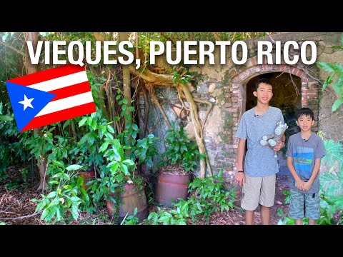 Top 5 Must Do's on Vieques Island Puerto Rico Travel Tips 2023 (Know Before You Go) 🇵🇷