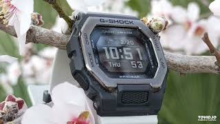 Casio LCD Software New Mountain screenshot 2