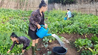 Kwv Dej Ywg Zaub & De Zaub Mus Muag