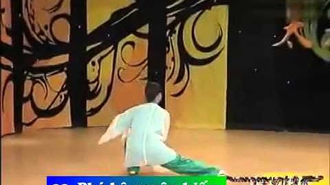 THAÍ CỰC KIẾM 42T NHAC VIỆT