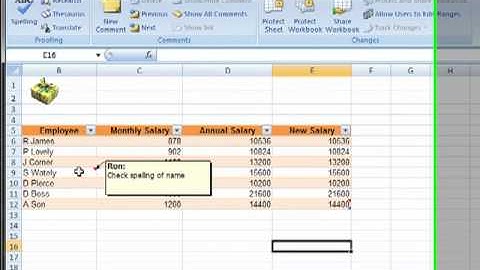 AM 4523 Comments in Microsoft Excel 2007 ECDL Advanced ITQ3