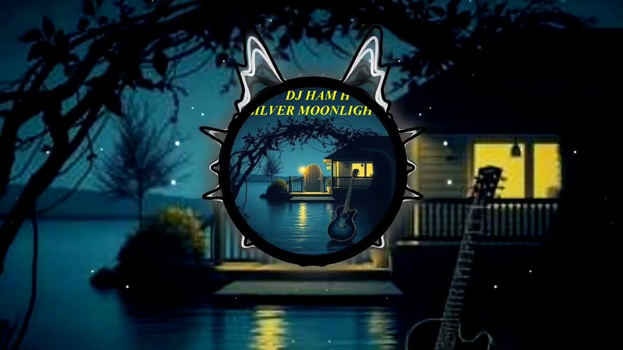 Guarda DJ HAM H - Silver Moonlight su YouTube Guarda DJ HAM H - Silver Moonlight su YouTube
