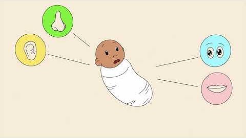 The Developmental Play Model