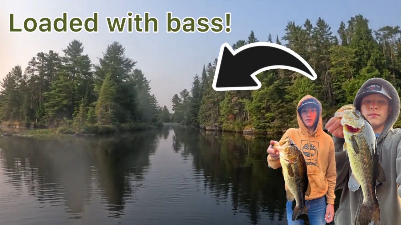 This creek was loaded with bass!