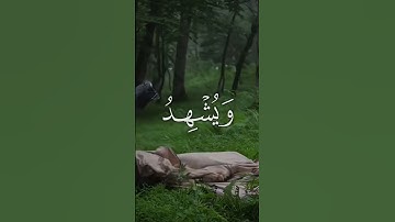 راحه نفسيه #اكسبلور #دويتو #دعاء_يوم_الجمعة #سورة_الكهف #تيك_توك