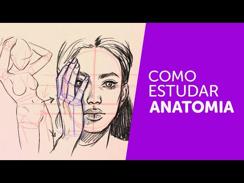 COMO ESTUDAR ANATOMIA: Como, por onde e o quê estudar?