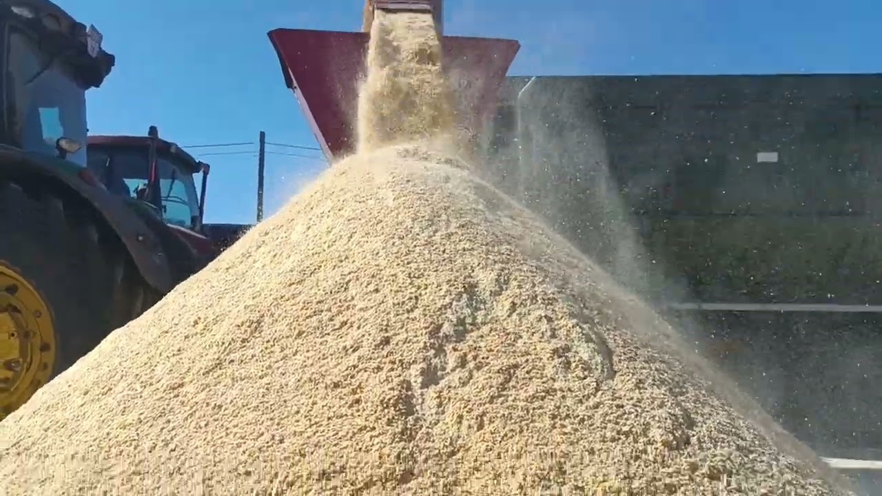 Дробарка для вологої кукурудзи Grain Grinder GG10 Roto Grind, Burrows Ent, сезон закладки пасти 2025