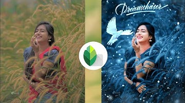 Snapseed Green And Bird Effect Photo EditingTutorial | Snapseed Background Colour ChangeTricks
