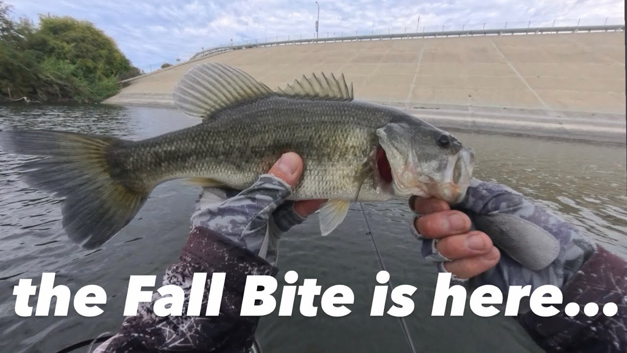 Puddingstone Reservoir Bass Fishing  | Sept. 27, 2026