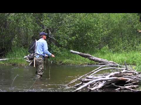 Fly Fishing Colorado Trout Creek June 2009 Part 1