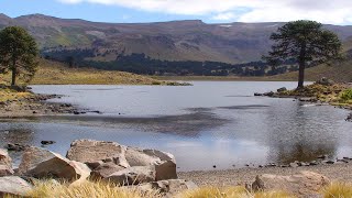 LAGUNA DE HUALCUPÉN CAVIAHUE RUMBOS PARA VER CITAR SRL