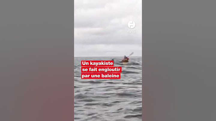 Un kayakiste se fait engloutir par une baleine