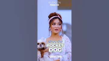 Pocket Dog Official Teaser