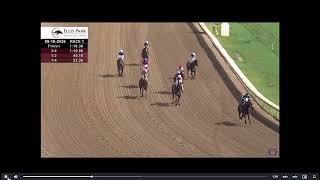Horse Racing Today Mittys Griddy Wins Race 1 At Ellis Park On Sun Aug 16 2026
