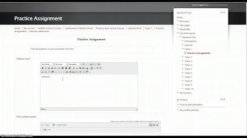 Moodle Assignments: A Student View