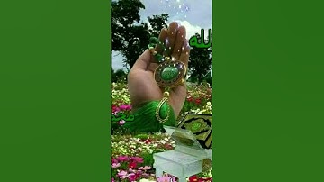 المصحف## القران### القران### الكريم #### تلاوة -- خاشعة