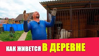 О БОЛИ В СПИНЕ | Встретил подписчиков | Коптим сало | Подготовка участка к продаже