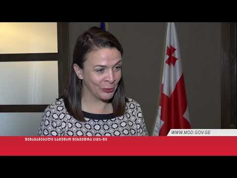 შემაჯამებელი სამუშაო შეხვედრა DIBS-ში