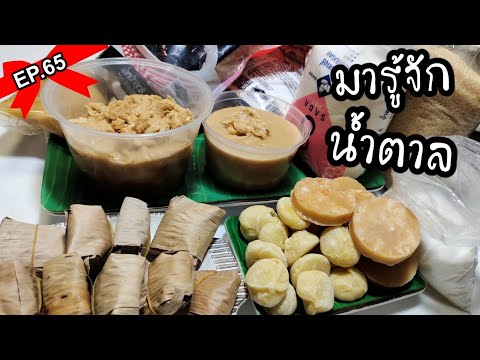 ประเภทน้ำตาล สารให้ความหวานที่ใช้ในอาหาร | พาดู พาทำ EP.65