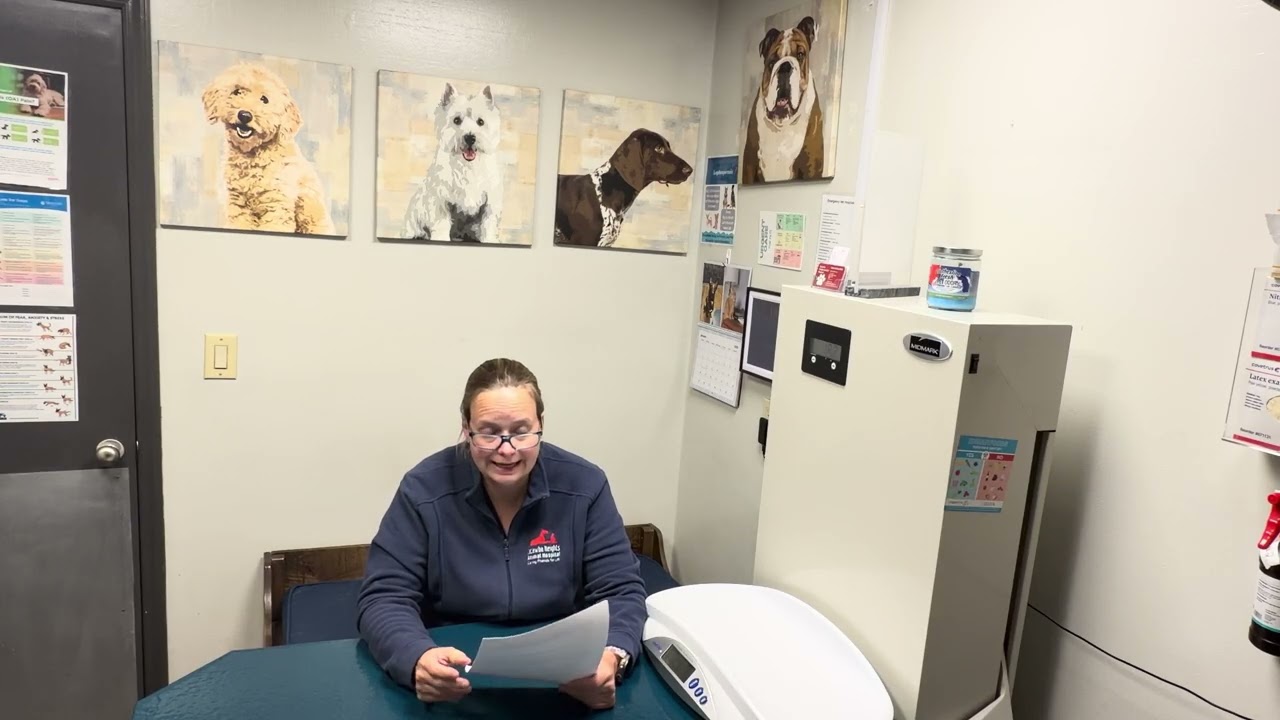 Cats and urinary problems 