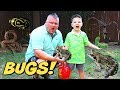 Caleb and Daddy Play Outside and Hunt For Bugs & Frogs! Caleb Pretend Play with Bugs For Kids!