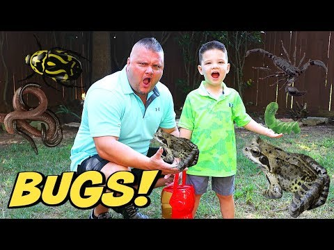 Caleb and Daddy Play Outside and Hunt For Bugs & Frogs! Caleb Pretend Play with Bugs For Kids!