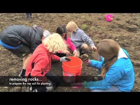 Nederland Elementary School STEM in Action project