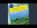 Miniature de la vidéo de la chanson Symphony No. 3 In A Minor, Op. 56 “Scottish”: I. Andante Con Moto - Allegro Un Poco Agitato - Assai Animato - Andante Come Prima