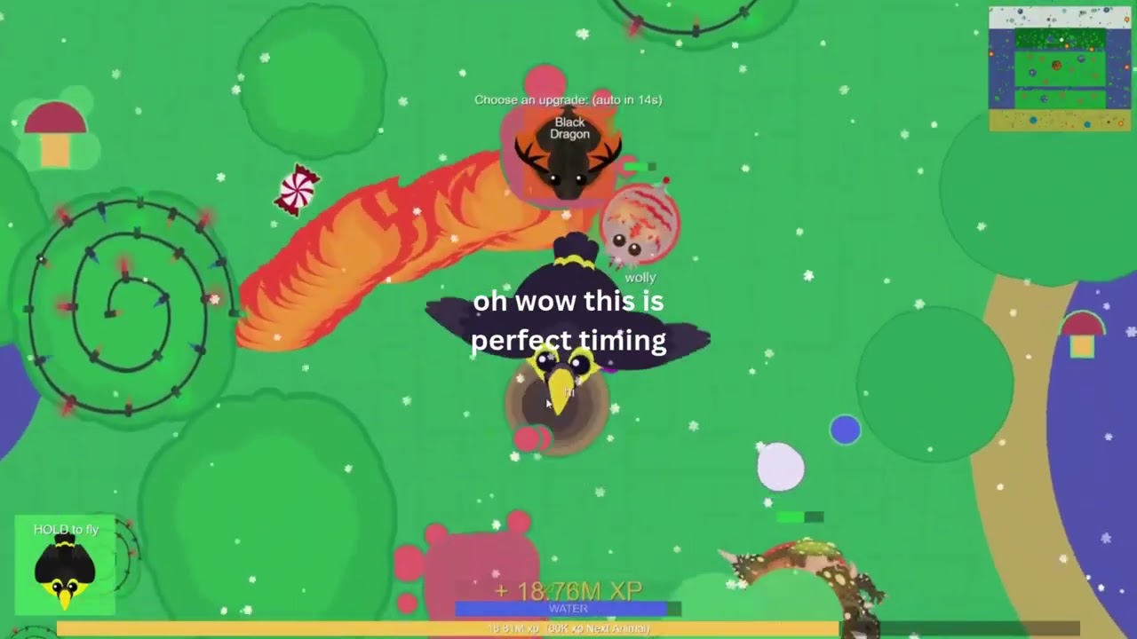 killing a kd that i almost lost with toucan