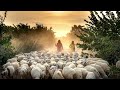 He Leadeth SDA Hymnal 537 Me Lyrics