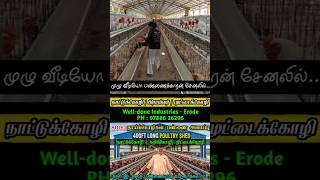 😲சரியான கூண்டு அமைப்பில் கோழி வளர்த்தா, நோய்களே வராதா⁉️ Proper Cage Method💥