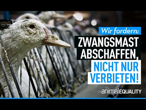 Wir fordern: Zwangsmast abschaffen, nicht nur verbieten!