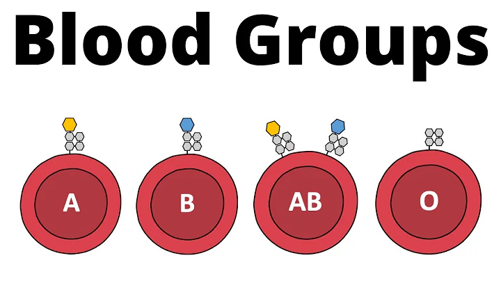 ABO Blood Group System (AB0 Blood types & compatibility explained) - DayDayNews